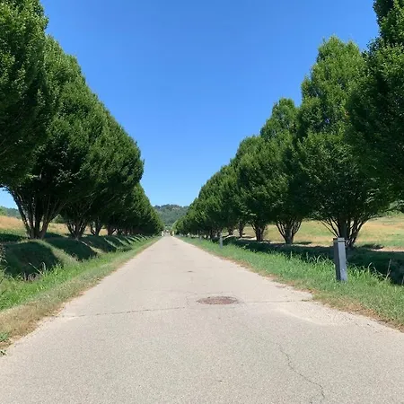 Lejlighed Il Feudo Della Libella Serravalle d'Asti