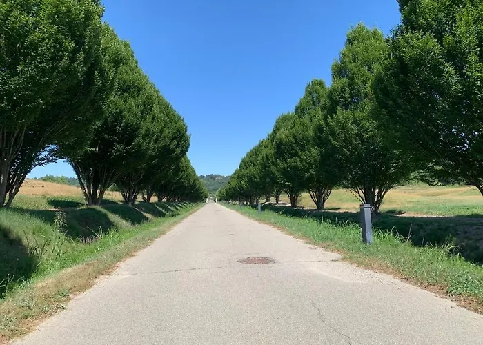 公寓 Il Feudo Della Libella Serravalle d'Asti